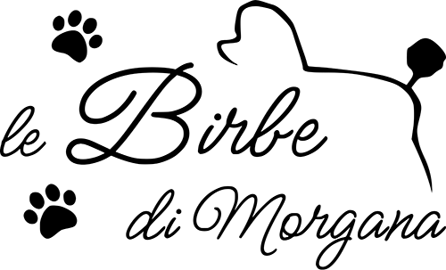 Le Birbe di Morgana